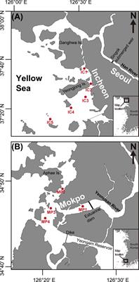 Comparative seasonality of phytoplankton community in two contrasting temperate estuaries on the western coast of Korea